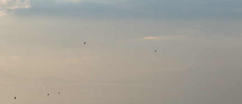 Skärmavbild 2023-04-12 kl. 23.56.23